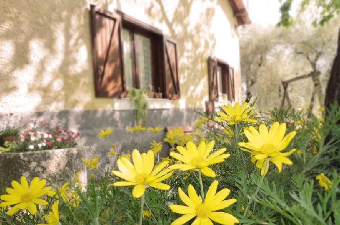 Agriturismo Macchiapiede Sala Consilina Zewnętrze zdjęcie